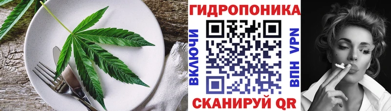 Еда ТГК марихуана  Купить  Шуя 