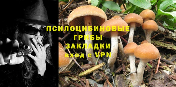 скорость Богданович
