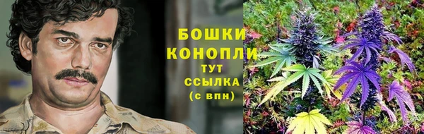 скорость Богданович