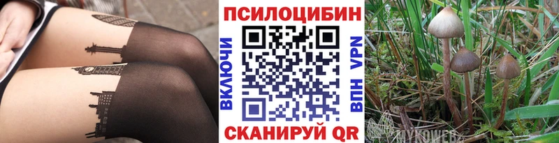 Купить  Шуя  Галлюциногенные грибы Magic Shrooms 