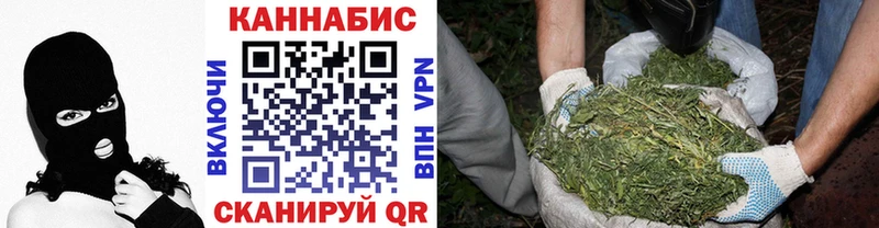 Купить  Шуя  Канабис план 